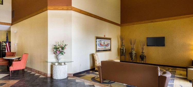 舒适套房酒店(Comfort Inn & Suites)图片