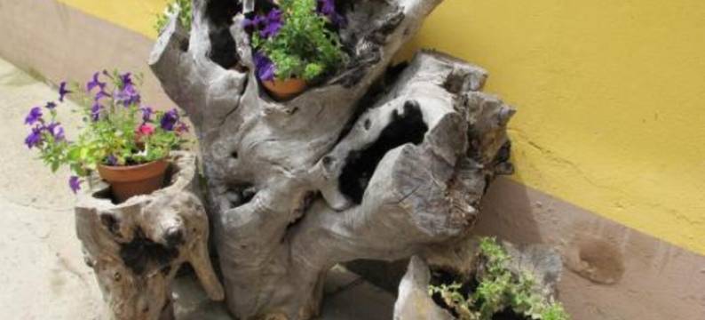 奥博格圣佩拉约酒店(Albergue San Pelayo)图片