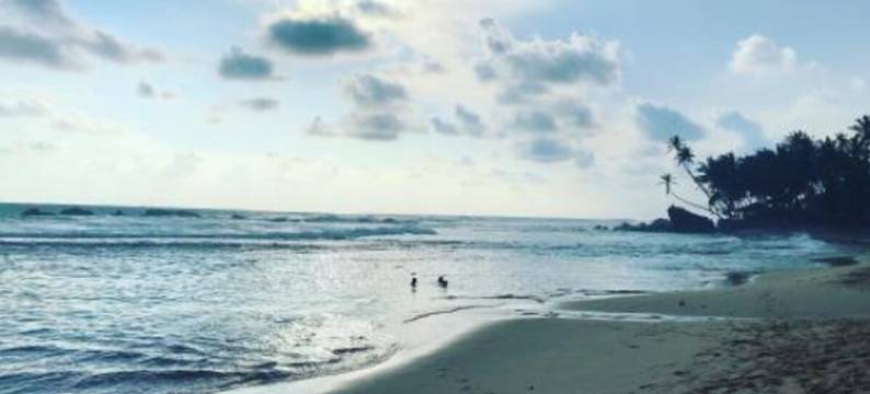 水仙花假日度假村(Daffodil Restaurant & Holiday Resort)图片