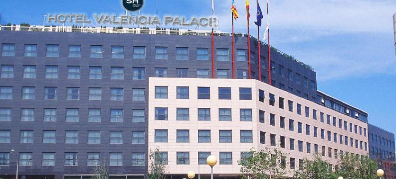 梅丽亚瓦伦西亚皇宫酒店(SH Valencia Palace)图片