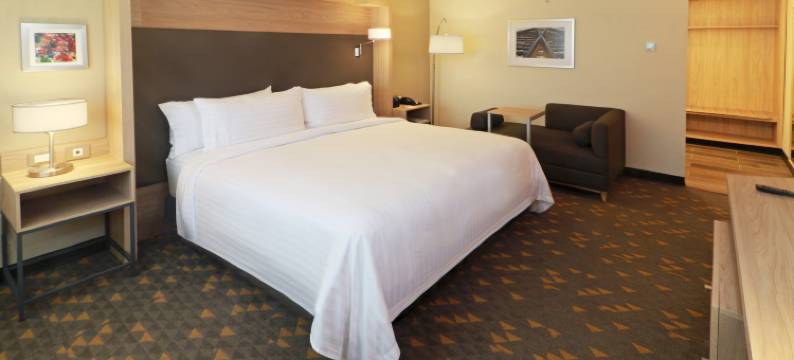 华瑞兹城假日酒店(Holiday Inn CIUDAD JUAREZ by IHG)图片