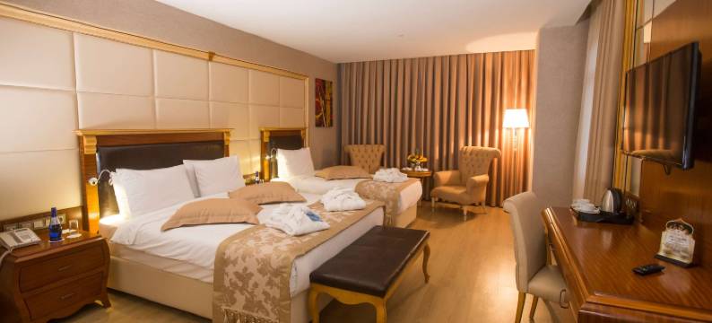 巴统温德姆酒店(Wyndham Batumi)图片