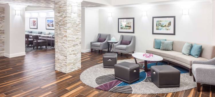 查塔努加-哈密尔顿广场Homewood Suites by Hilton(Homewood Suites by Hilton Chattanooga - Hamilton Place)图片