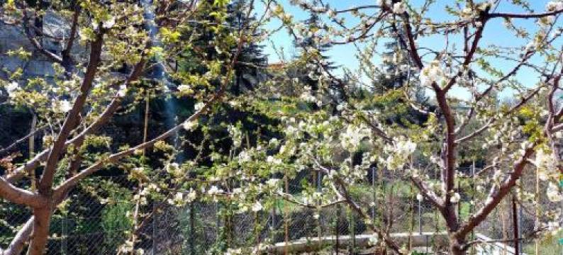 Agros Green Valley Suites图片