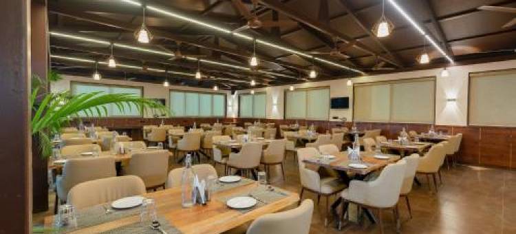 Golden Leaf Resort图片