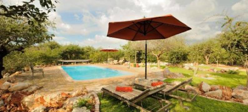 Etosha Village Campsite图片