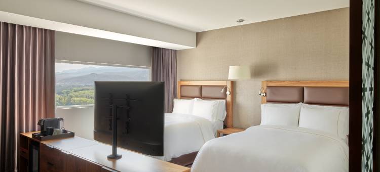 圣路易波托西美洲嘉年华酒店(Fiesta Americana San Luis Potosi)图片