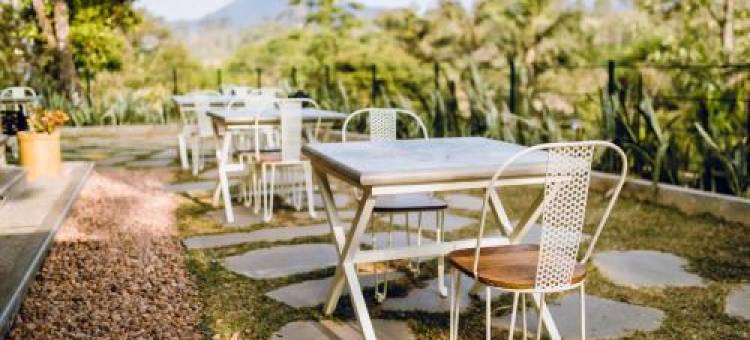 Misty Mountain Experience图片