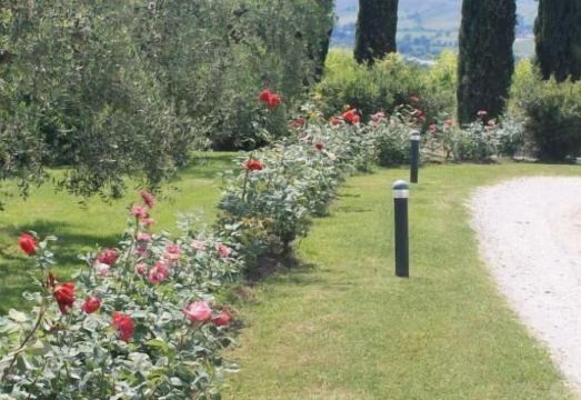 Bio Agriturismo Il Torrione Hotel Overview