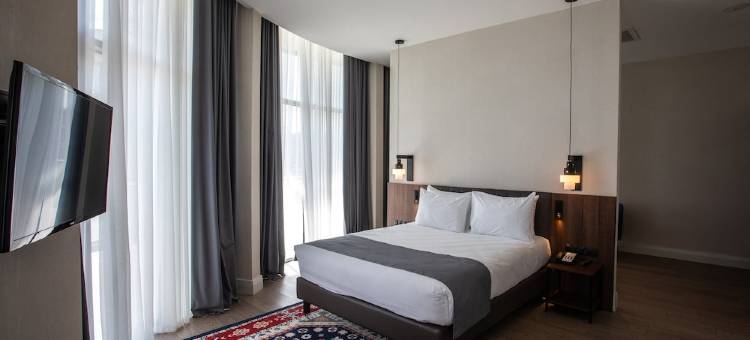 特拉维假日酒店(Holiday Inn Telavi)图片