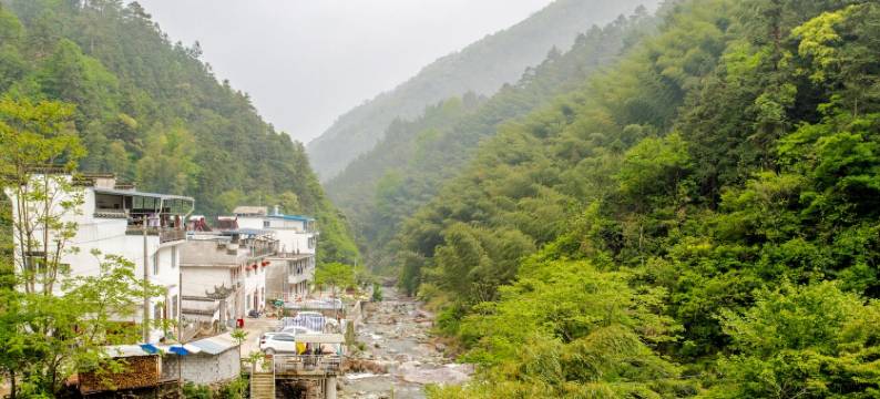溪源人家特色民宿(浮溪路1号分店)图片