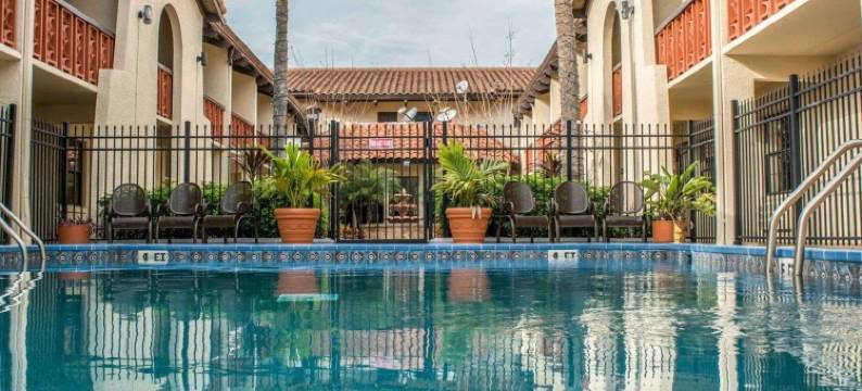 坦帕-布兰登凯隆波因特酒店 - 近展览中心和娱乐场(Clarion Pointe Tampa-Brandon Near Fairgrounds and Casino)图片