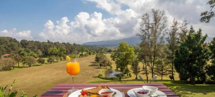 艾姆里塔拉安巴蒂格林斯度假村(Amritara Ambatty Greens Resort)图片