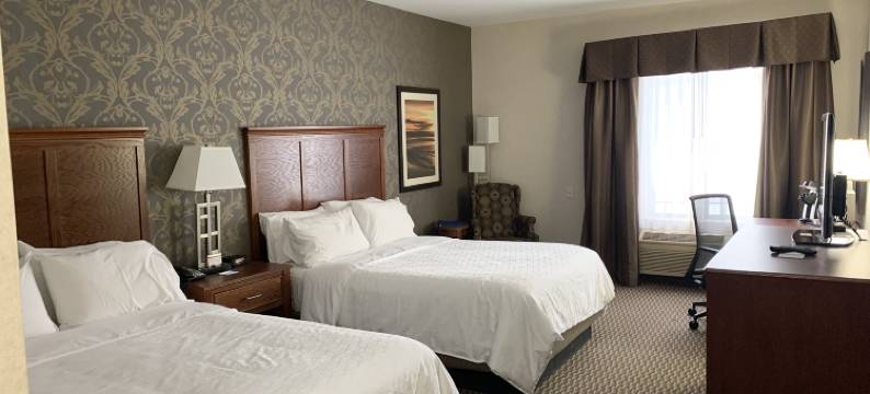 荷兰智选假日酒店(Holiday Inn Express HOLLAND by IHG)图片