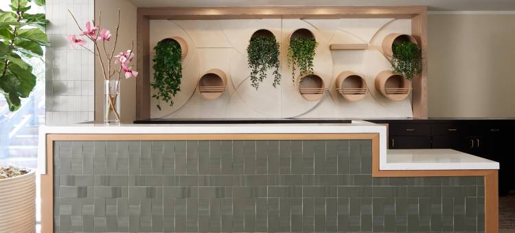 金普顿恩索酒店(Kimpton Hotel Enso)图片