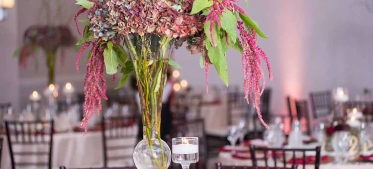 费尔法克斯希尔顿酒店(Hilton Fairfax)图片