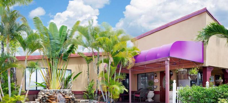 夏洛特港骑士酒店(Knights Inn Port Charlotte)图片