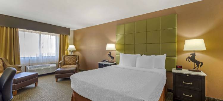 乡村贝斯特韦斯特优质套房酒店(Best Western Plus Country Inn  Suites)图片