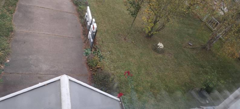 Pension am Messegelände图片