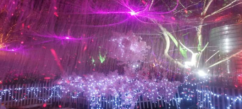 杨梅坑夕溪花间民宿(天然潭店)图片