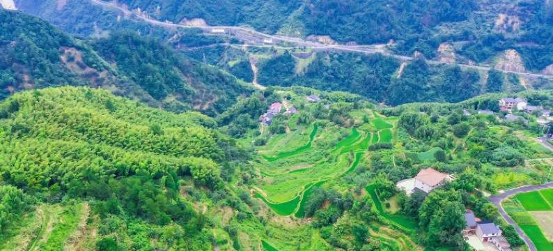 杭州山栖谷隐民宿图片