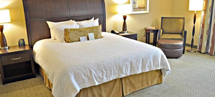 希尔顿花园酒店-提夫顿(Hilton Garden Inn Tifton)图片