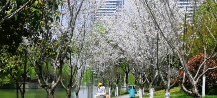 绿馨居美屋公寓(悠云路分店)图片