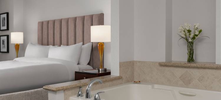 格兰德城堡万豪酒店(Marriott's Grand Chateau)图片