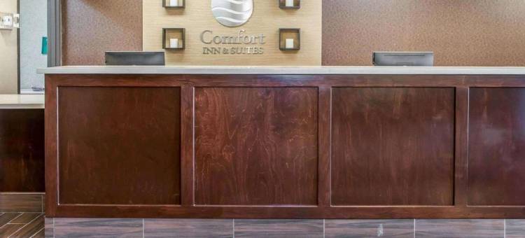 舒适套房酒店(Comfort Inn & Suites Napoleon)图片