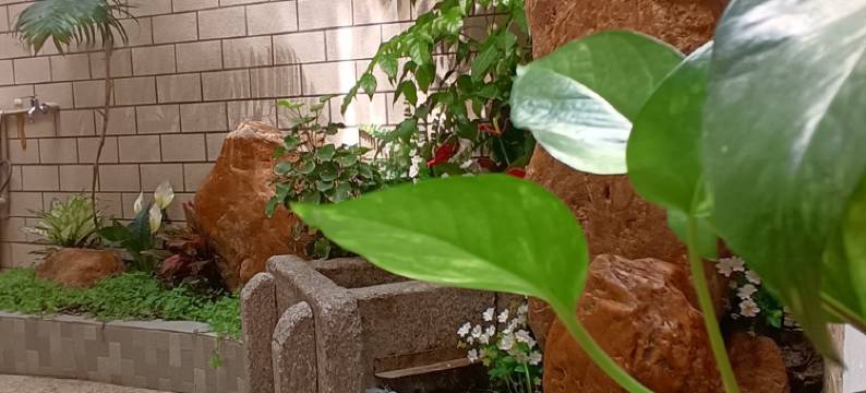 西河民宿(三利街分店)图片