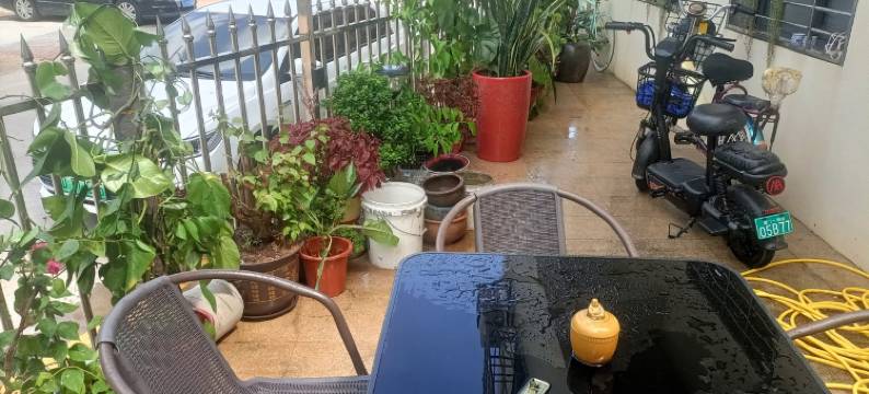 大嶝岛白宫雅宿客栈(环嶝南路分店)图片