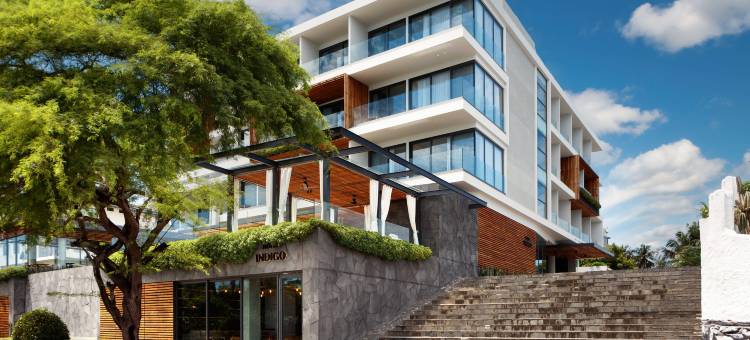 英迪格酒店 加拉帕戈斯 洲际酒店集团(Hotel Indigo Galapagos)图片