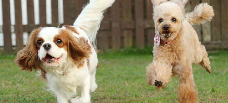 二丸温泉 宿坊(Nihonmaru Onsen Shukubo)图片