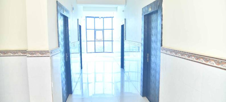 Treebo佛陀活力(Treebo Buddha Vibrant)图片