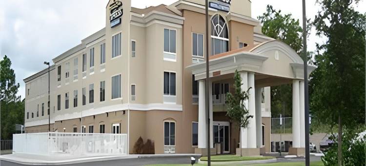 智选假日套房酒店布鲁克斯维尔西(Holiday Inn Express & Suites BROOKSVILLE WEST by IHG)图片