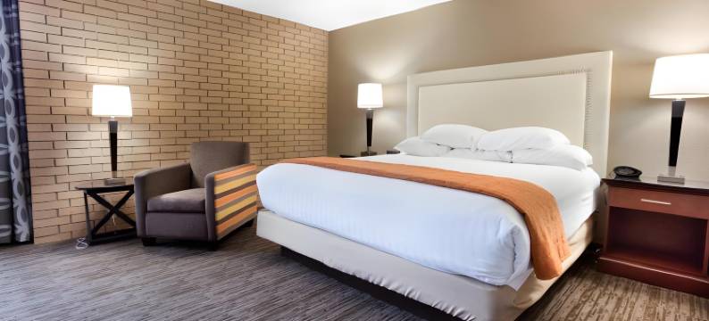 堪萨斯城机场德鲁里套房酒店(Drury Inn & Suites Kansas City Airport)图片