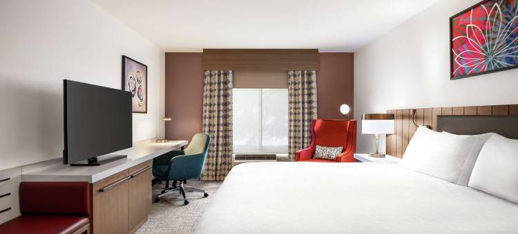 希尔顿花园酒店-亚特兰大南-麦克多诺(Hilton Garden Inn Atlanta South-McDonough)图片