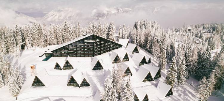 TRIFORÊT阿尔卑斯.resort(TRIFORET Alpin.Resort)图片