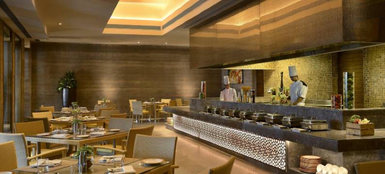 拉里曼加酒店(The Lalit Mangar)图片