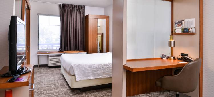 蒂梅丘拉山谷葡萄酒乡万豪SpringHill酒店(SpringHill Suites Temecula Valley Wine Country)图片