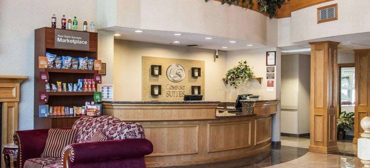 舒适套房酒店(Comfort Suites)图片