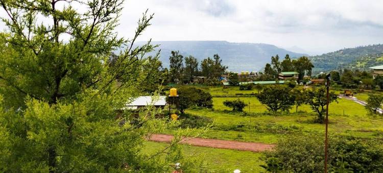 鲁安什别墅(Silver Petal)图片