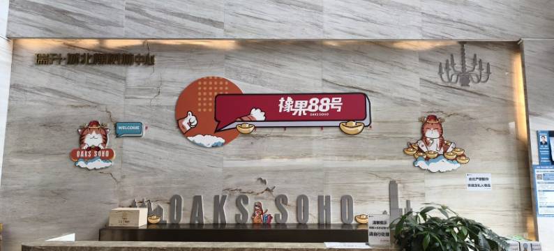 浅遇高空公寓金牛万达梁家巷地铁(解放路一段2号分店)图片