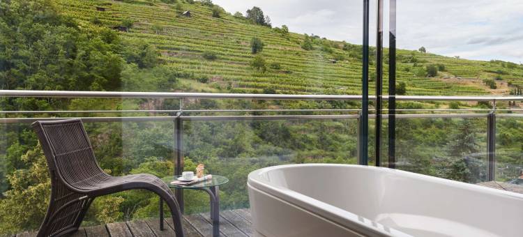 克雷姆斯水疗中心施柏阁酒店(Steigenberger Hotel and Spa, Krems)图片
