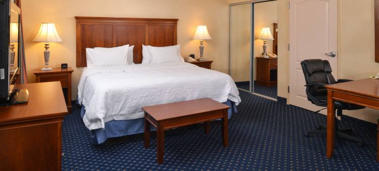 希尔顿欢朋套房酒店-南弗雷德里克斯堡(Hampton Inn & Suites Fredericksburg South)图片