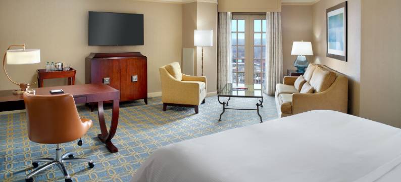 格林维尔波因塞特威斯汀酒店(The Westin Poinsett, Greenville)图片