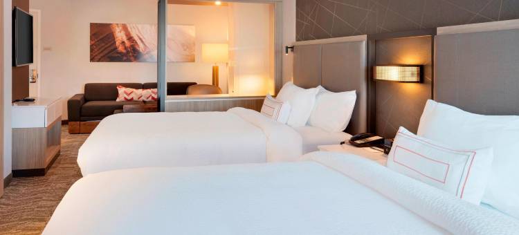 朴茨茅斯汉普顿万豪SpringHill Suites酒店(SpringHill Suites Hampton Portsmouth)图片