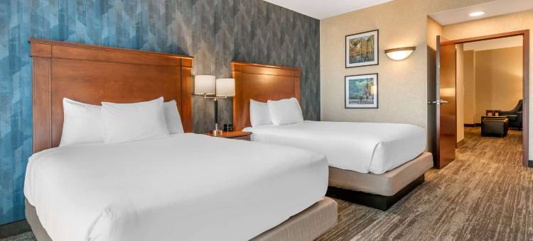 德鲁里广场酒店弗多斯塔(Drury Plaza Hotel Valdosta)图片