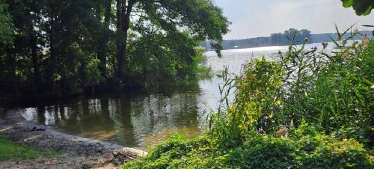 Häuschen am Waldrand图片