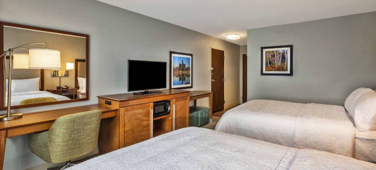 希尔顿欢朋酒店-南菲尔德/西布鲁姆菲尔德(Hampton Inn by Hilton West Bloomfield Novi)图片